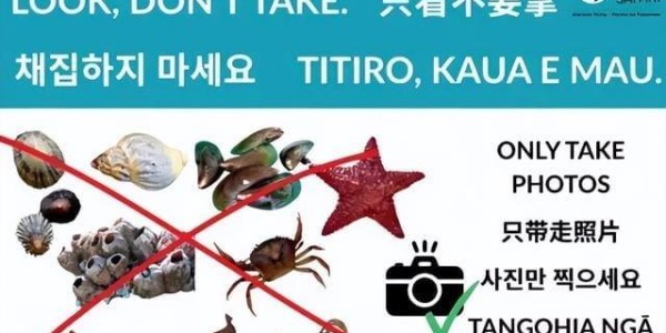 开云在线-大规模抗议爆发, 针对华人! 本地人在海边用中文横幅抵制!