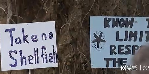 开云在线-大规模抗议爆发, 针对华人! 本地人在海边用中文横幅抵制!